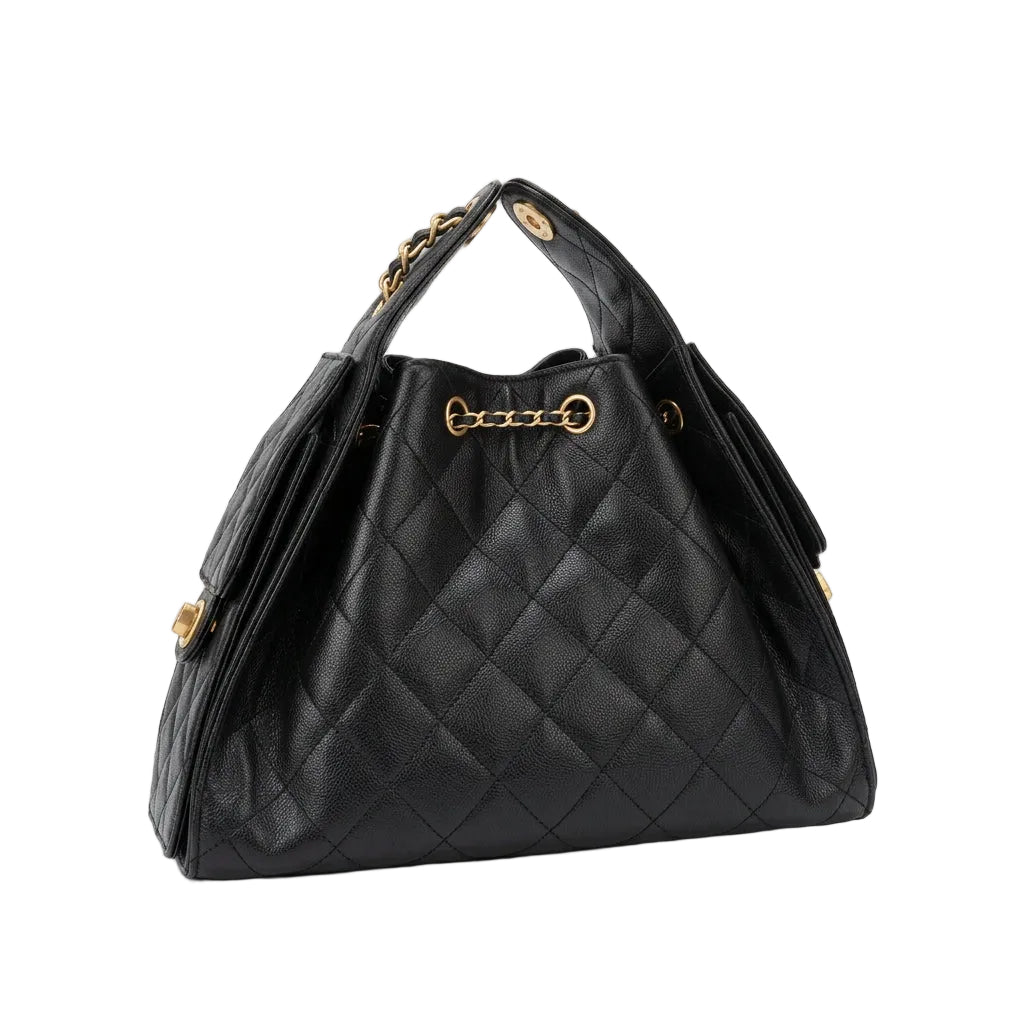Chanel 25 Hobo Bag