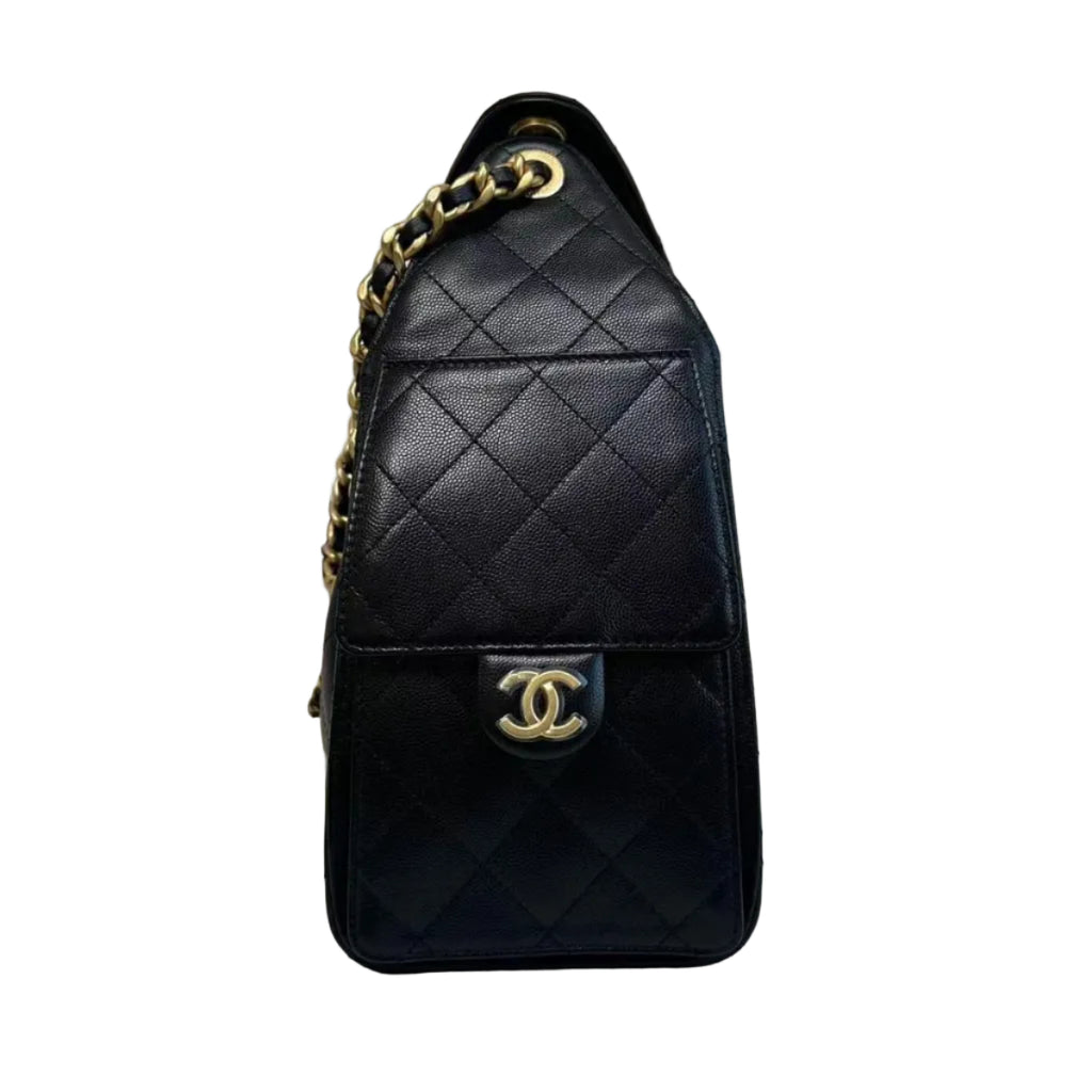Chanel 25 Hobo Bag