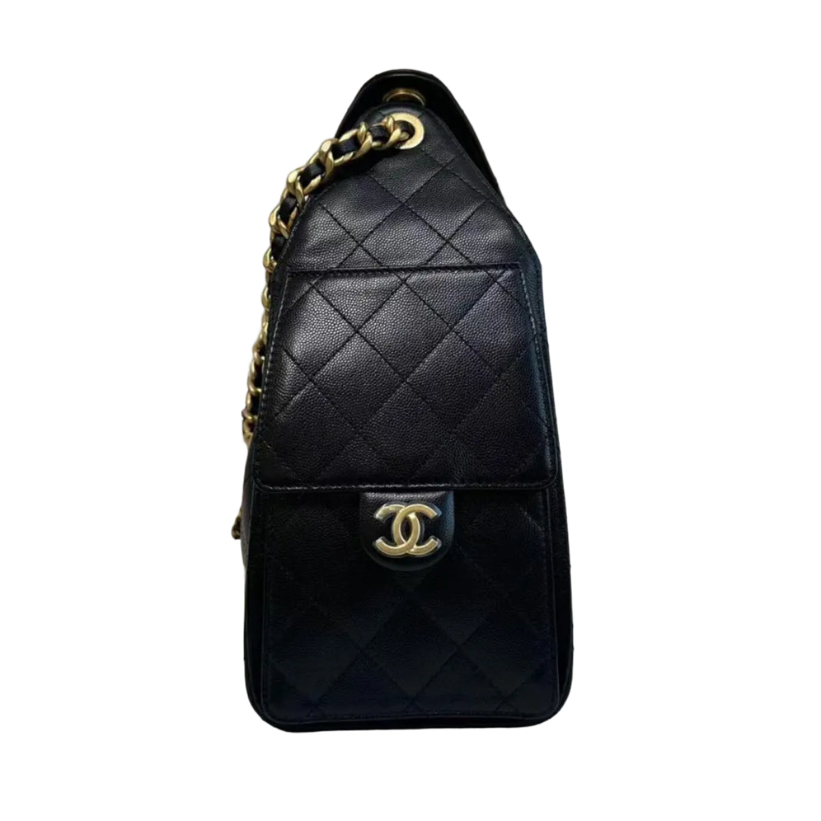 Chanel 25 Hobo Bag